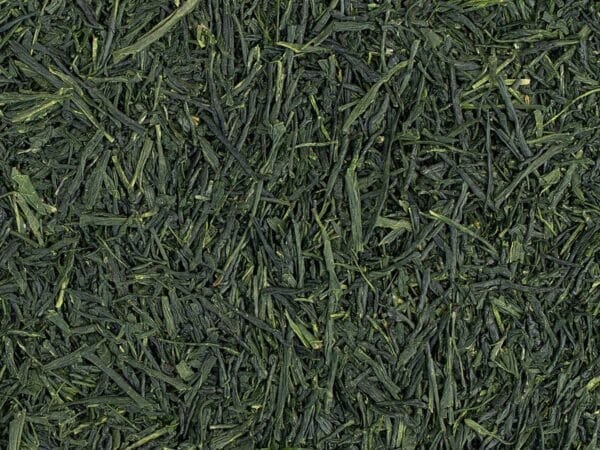 09780 shincha seamidor shincha